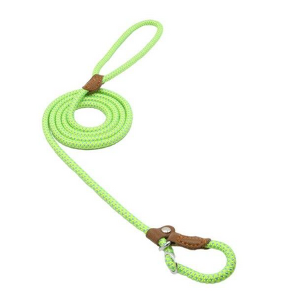 Nylon Pup Set