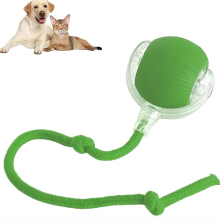 Smart Rolling Pet Ball