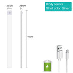 Silver 40CM / 3 Color Modes Lamp