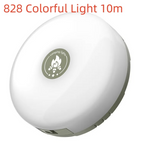 828 Colorful Light 10m