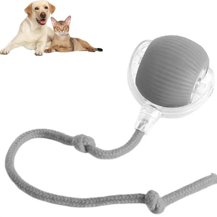 Smart Rolling Pet Ball